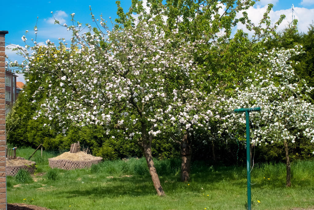 'T Bruggeske Villa Mol Dış mekan fotoğraf